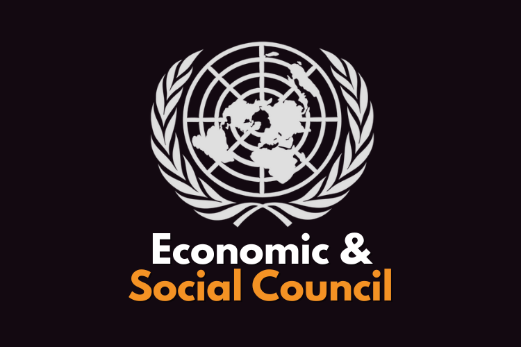 Economic & Social Council