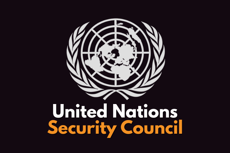 United Nations Security Council